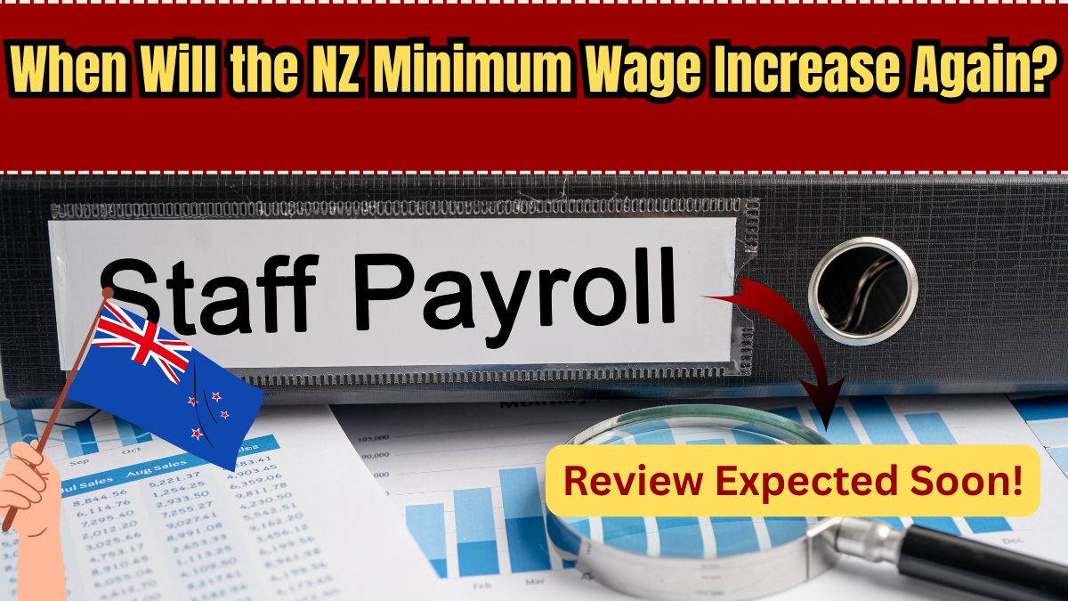 When Will the NZ Minimum Wage Increase Again? July 2025 Review Expected Soon