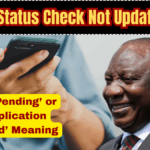 SRD Status Check Not Updating? What ‘Pending’ or ‘Reapplication Required’ Means in July 2025