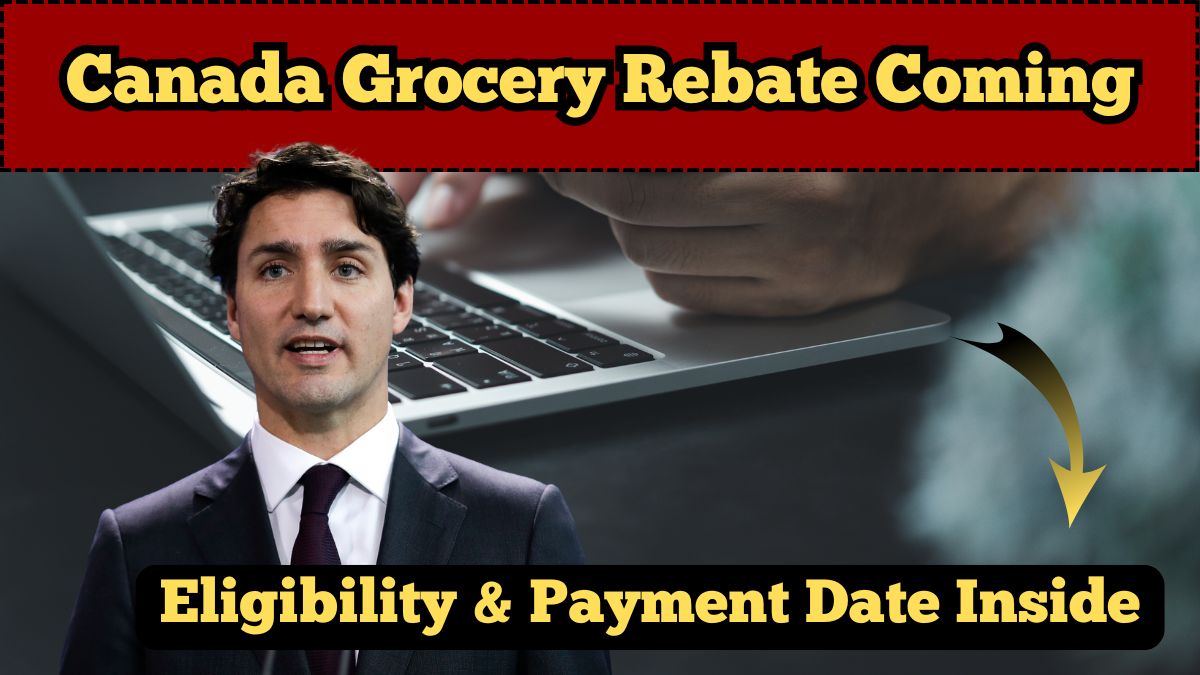 Canada Grocery Rebate Coming in August 2025: Eligibility & Payment Date Inside
