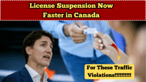License Suspension Now Faster in Canada for These Traffic Violations