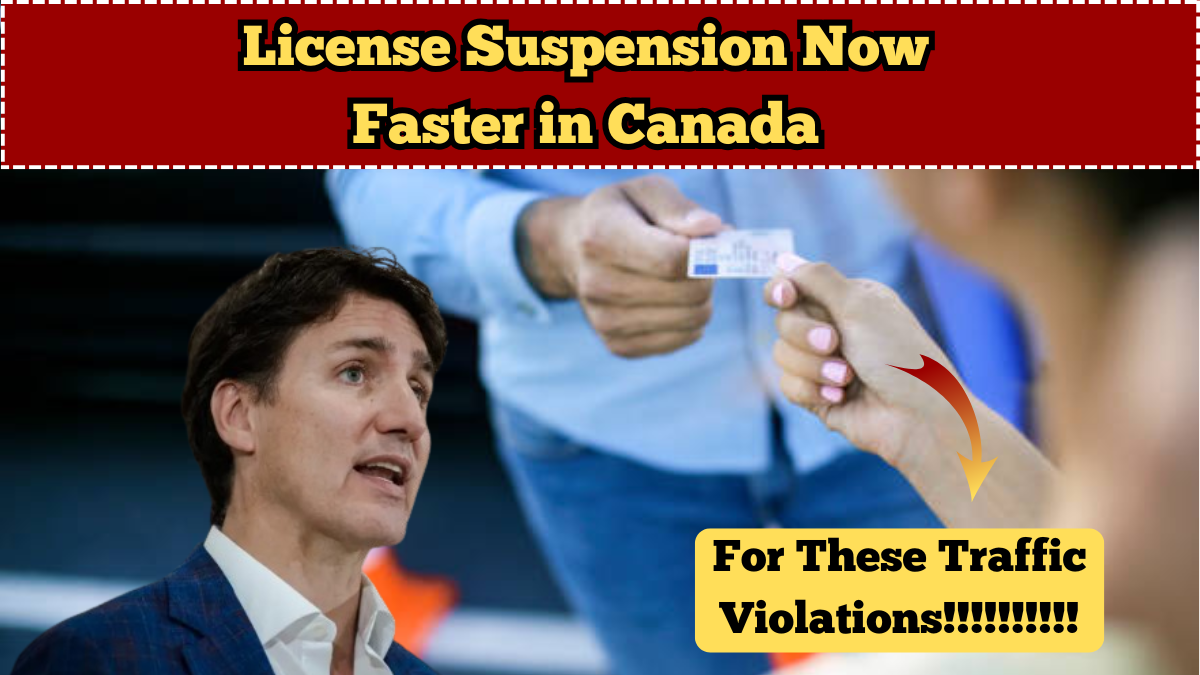 License Suspension Now Faster in Canada for These Traffic Violations
