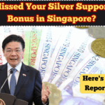 Missed Your Silver Support Bonus in Singapore? Here's How to Report It